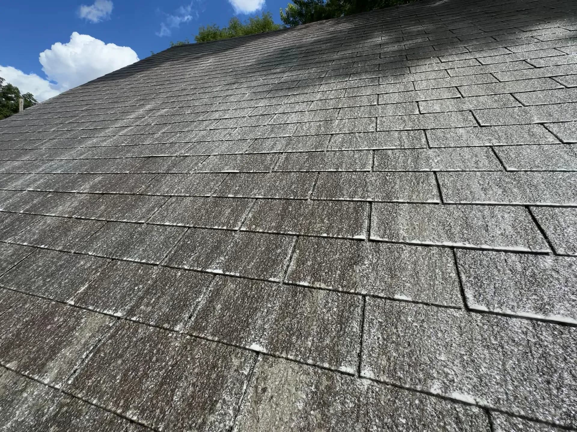 Commercial Roof Cleaning